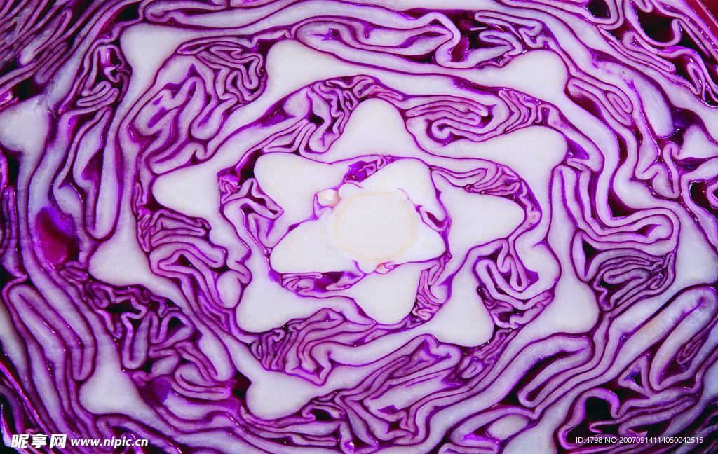 包菜