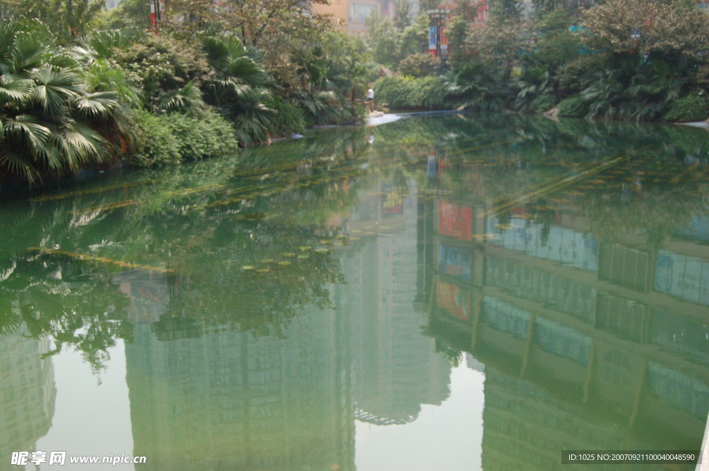 水面，城市園林