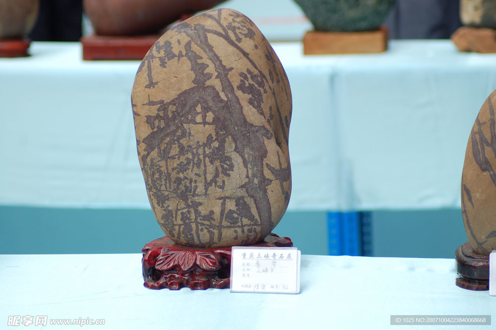 石頭5