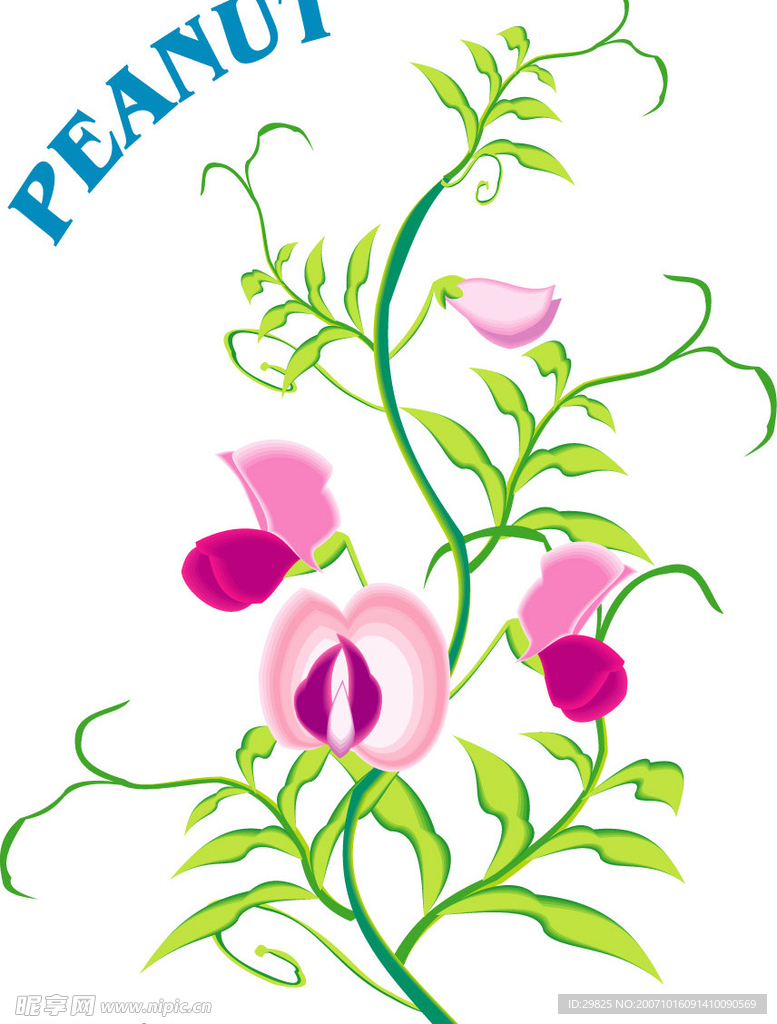 花