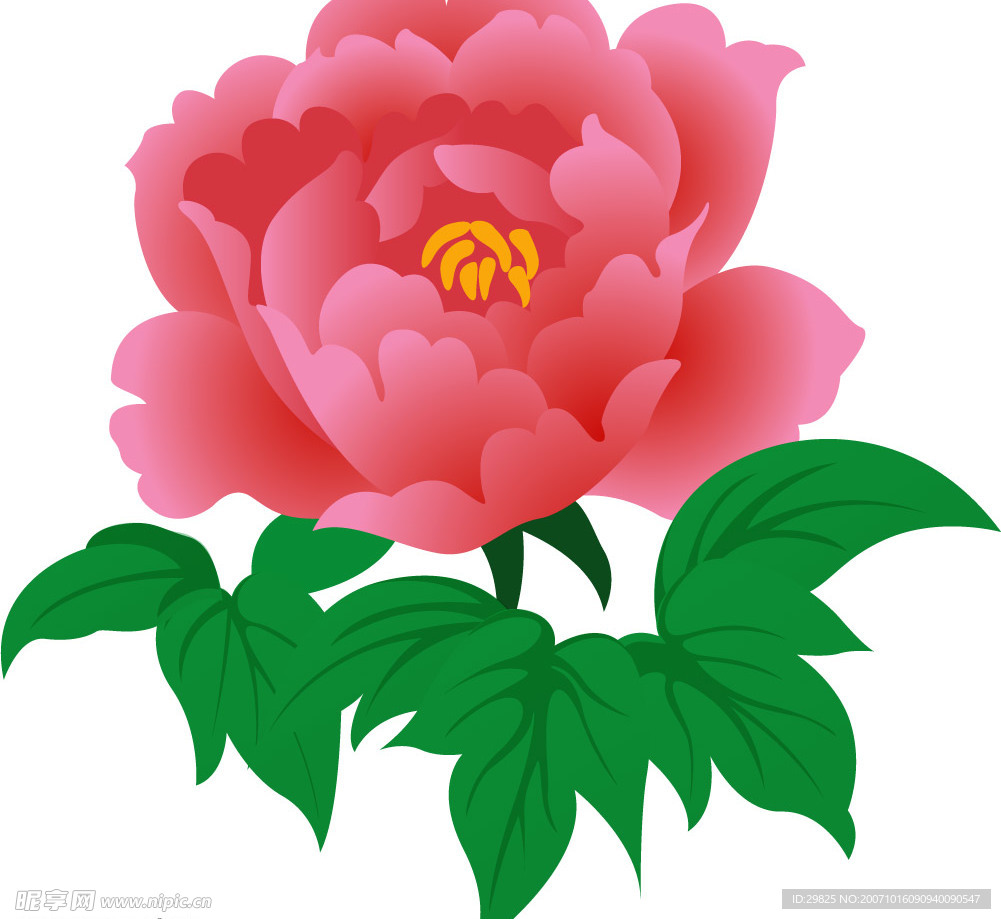花