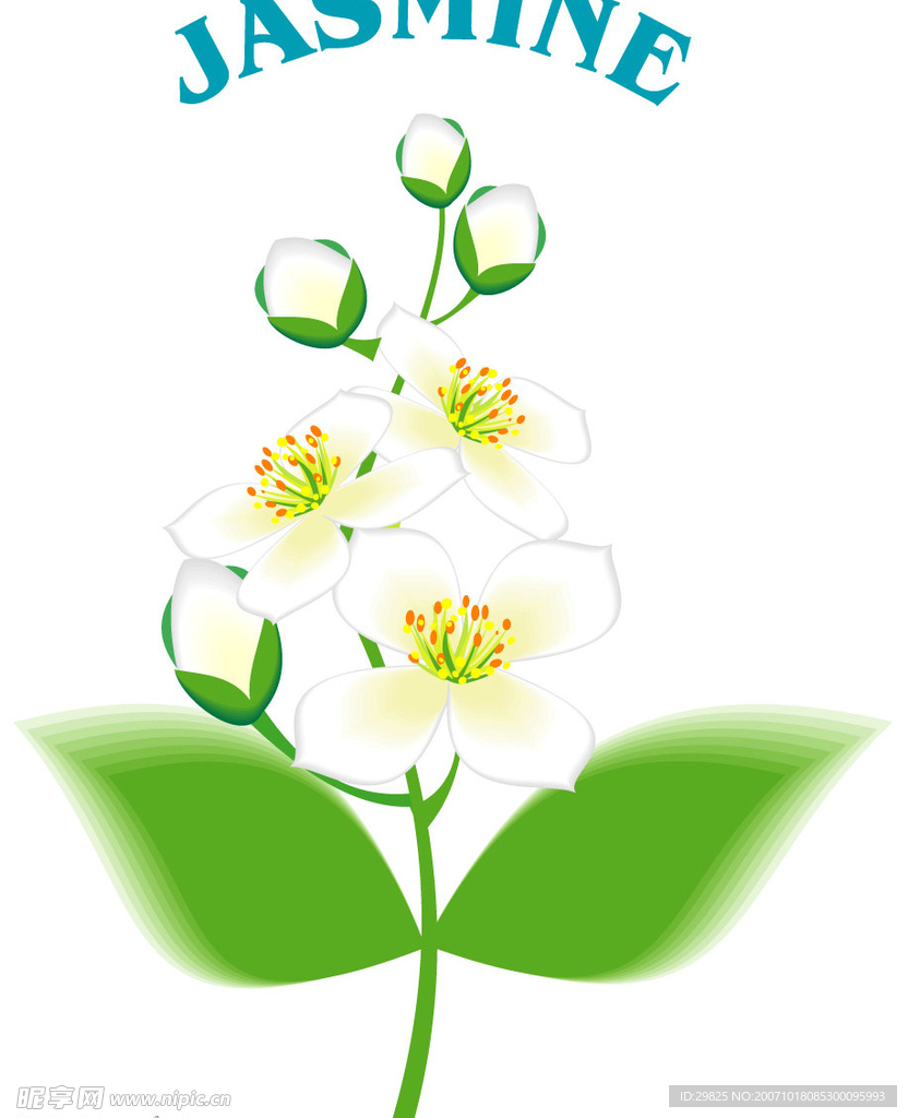 花