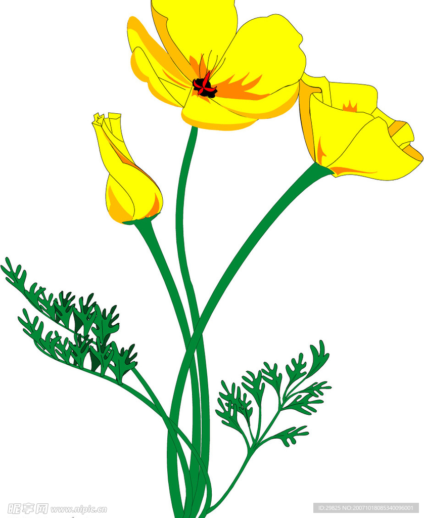 花
