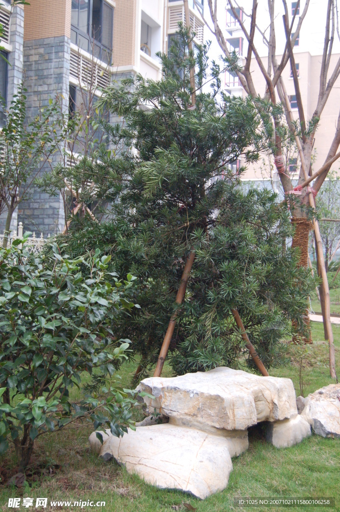 城市小區園林局部2