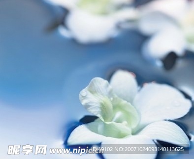 自然景觀 - 自然風景