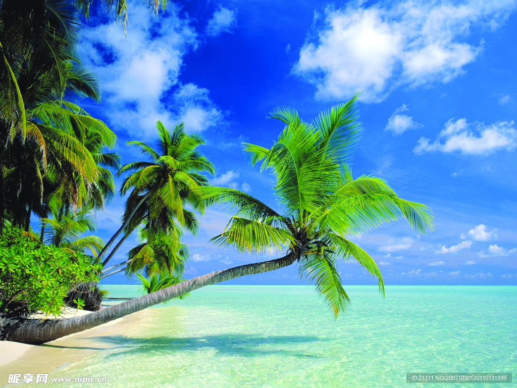 海邊的漂亮風(fēng)景