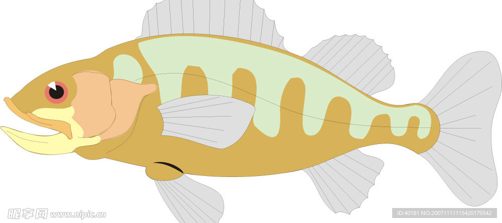 矢量魚