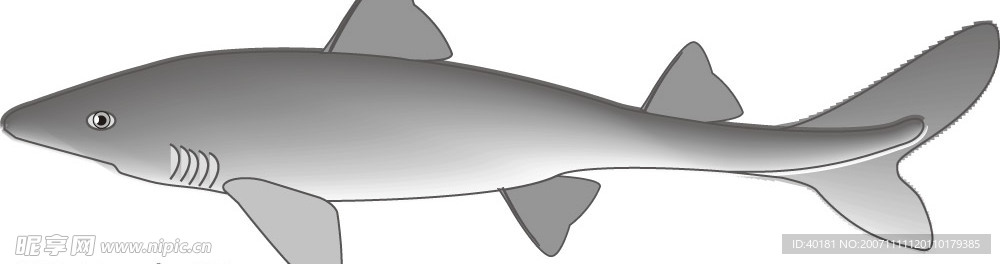 矢量魚