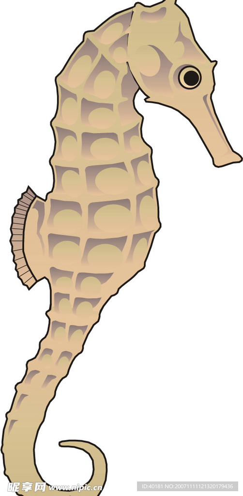 矢量魚