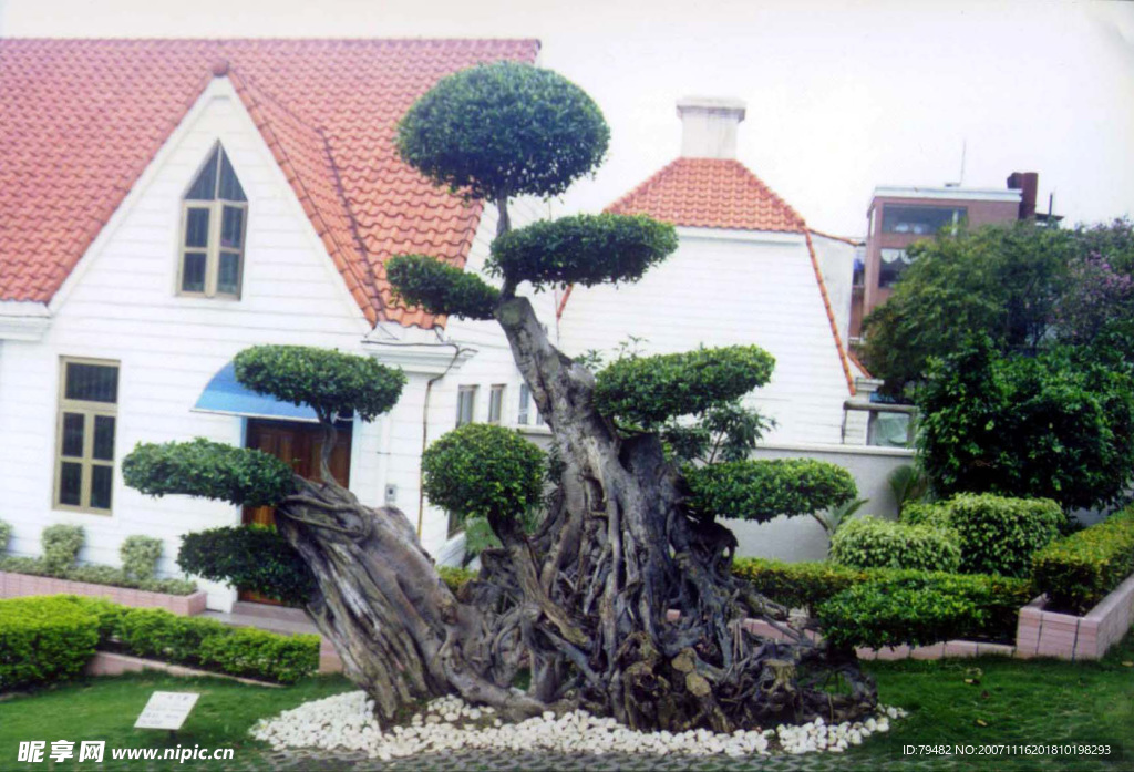 園林綠化