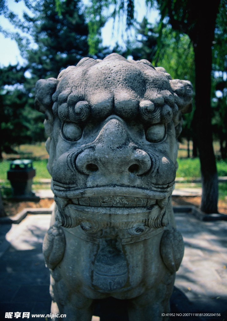 中國龍與獸