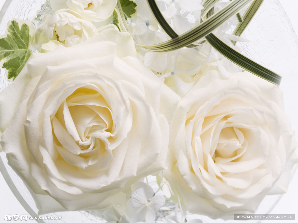 婚禮與鮮花、喜慶、慶典鮮花壁紙