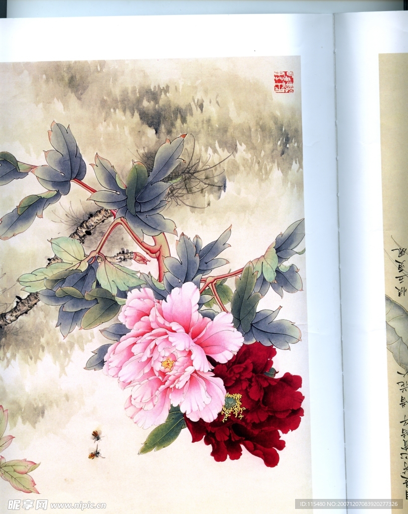 牡丹
