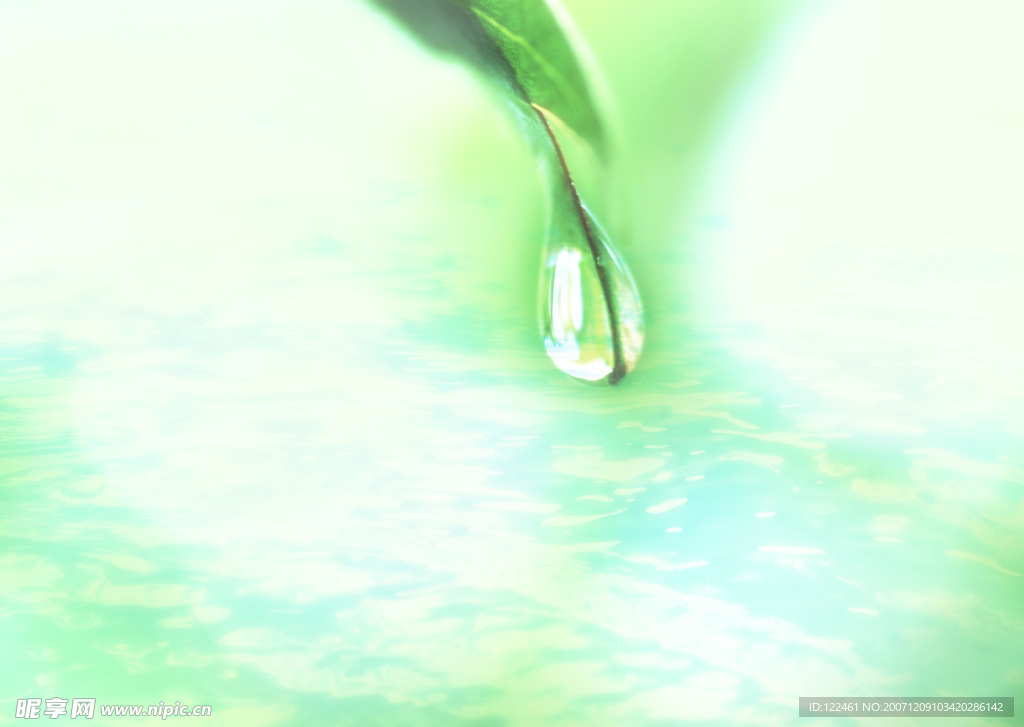 綠色水滴綠葉