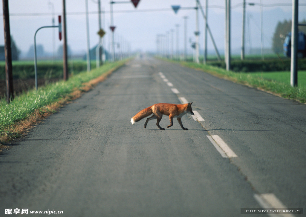 道路美景