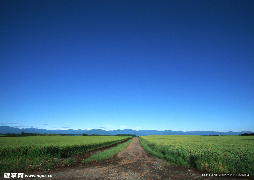 道路美景
