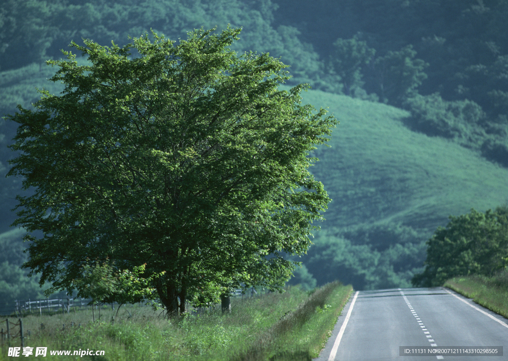 道路美景 道路攝影