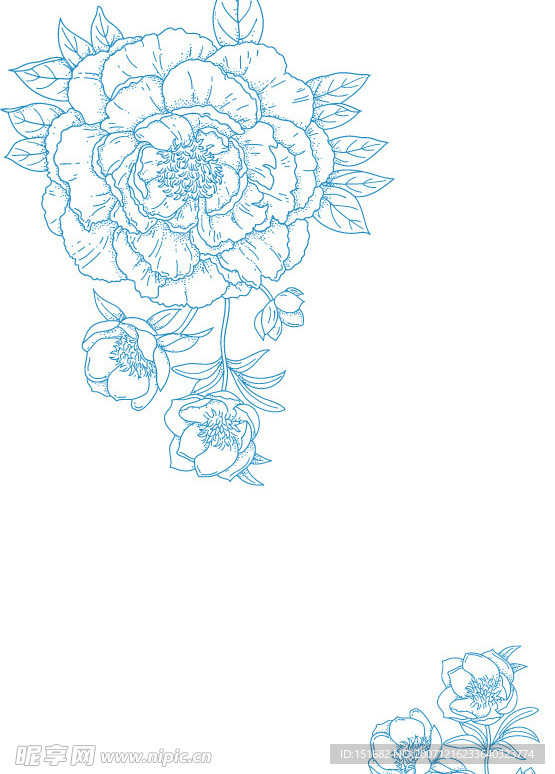 女人和花46