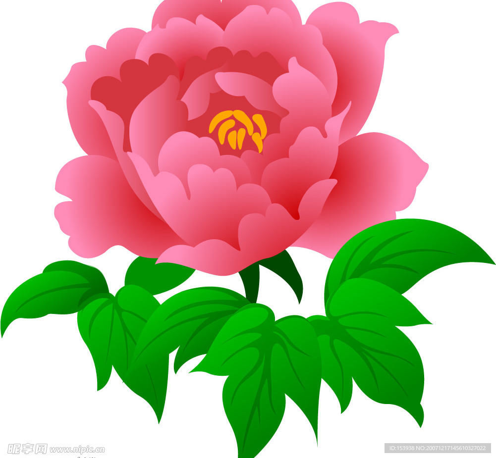 矢量花