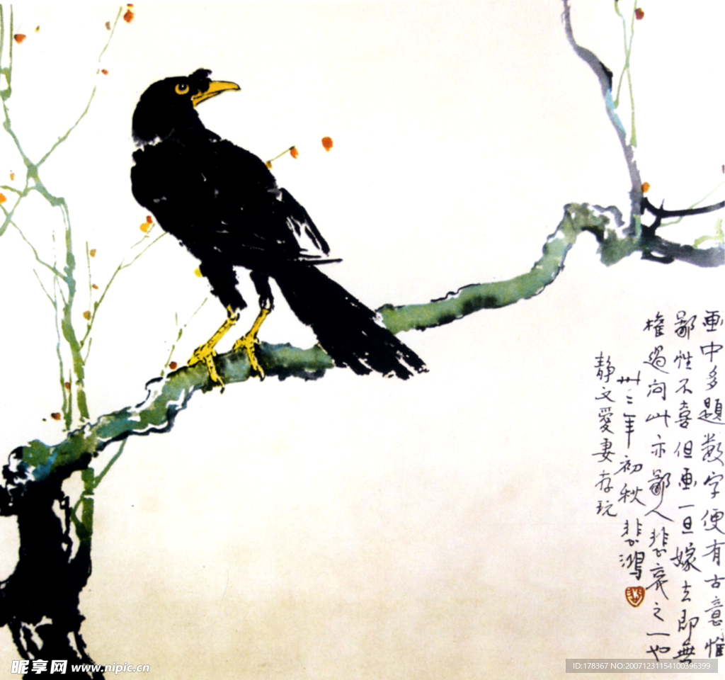 八哥