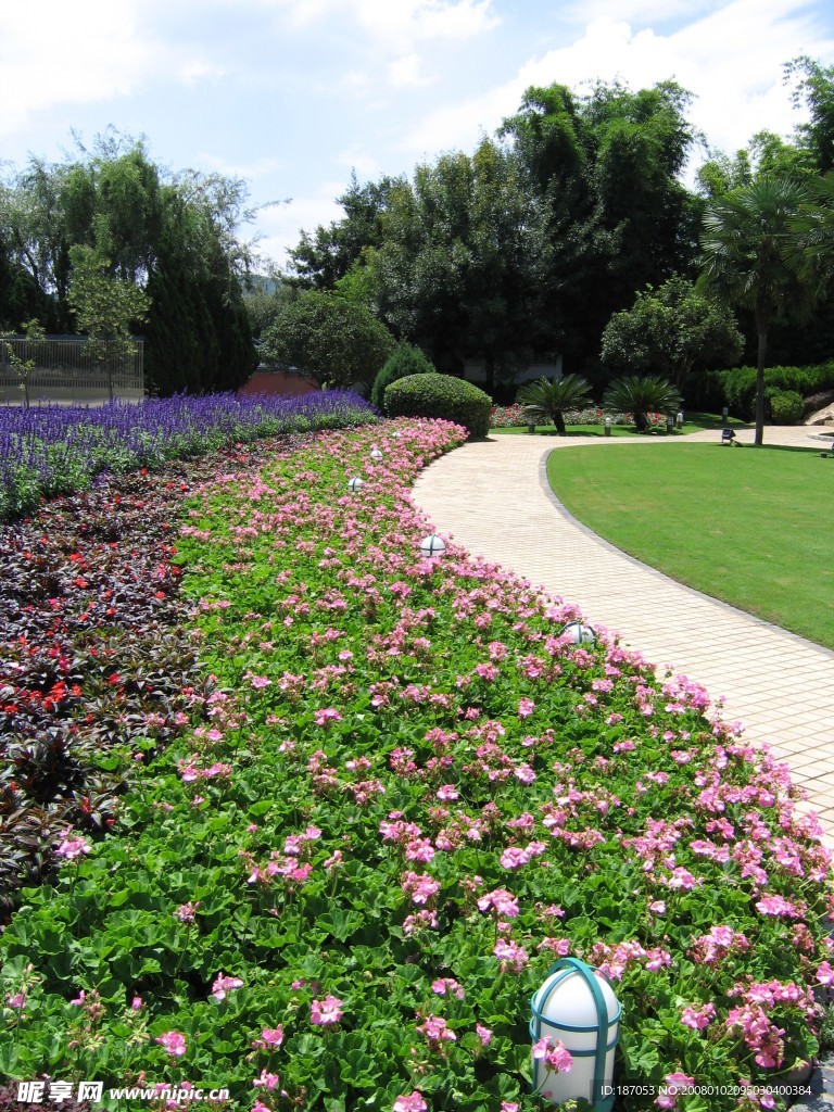 公園花卉