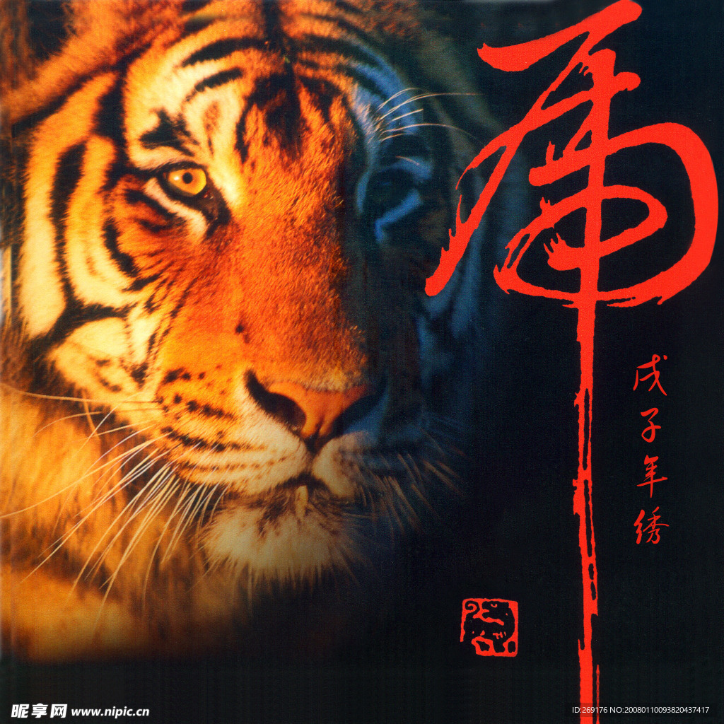 老虎