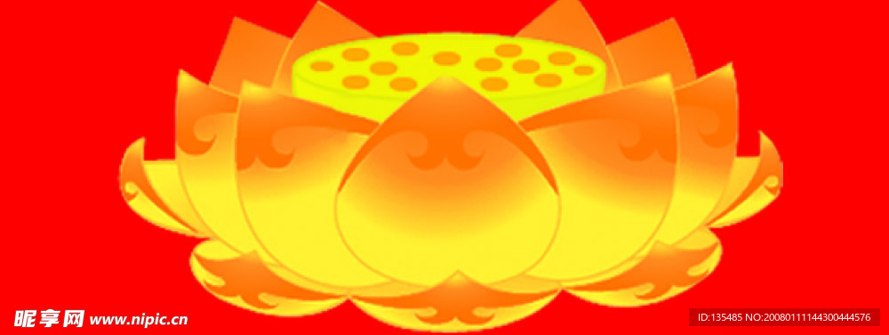 金蓮花