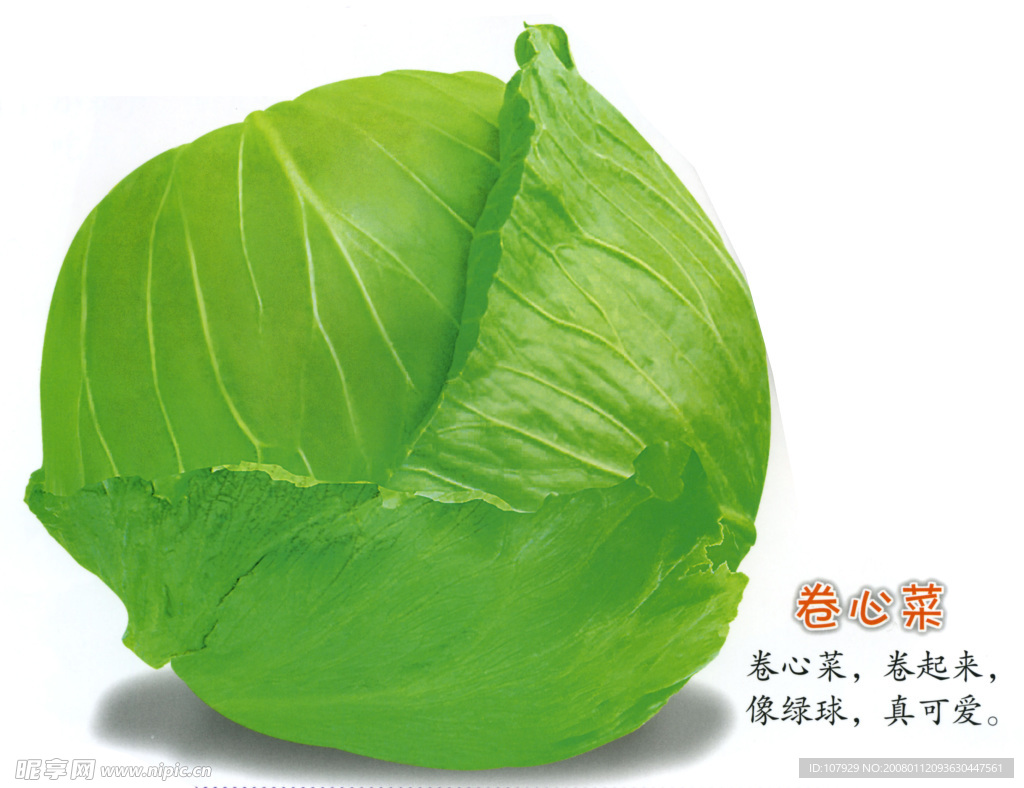兒童認(rèn)水果蔬菜