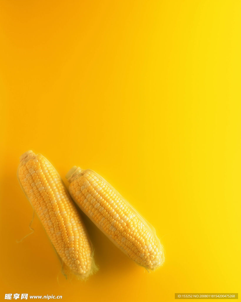 農(nóng)作物 玉米