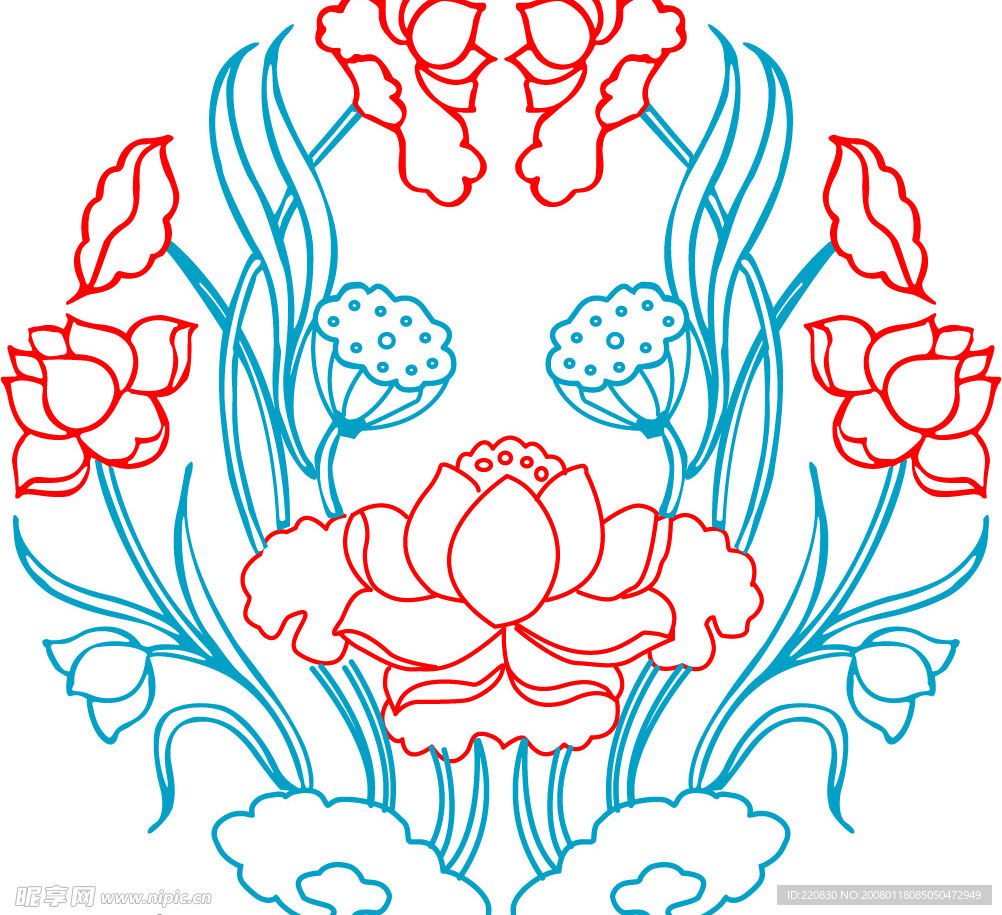 荷花