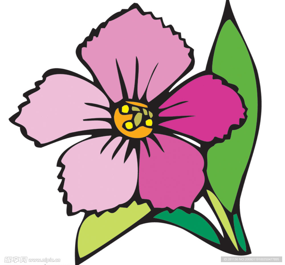 花卉