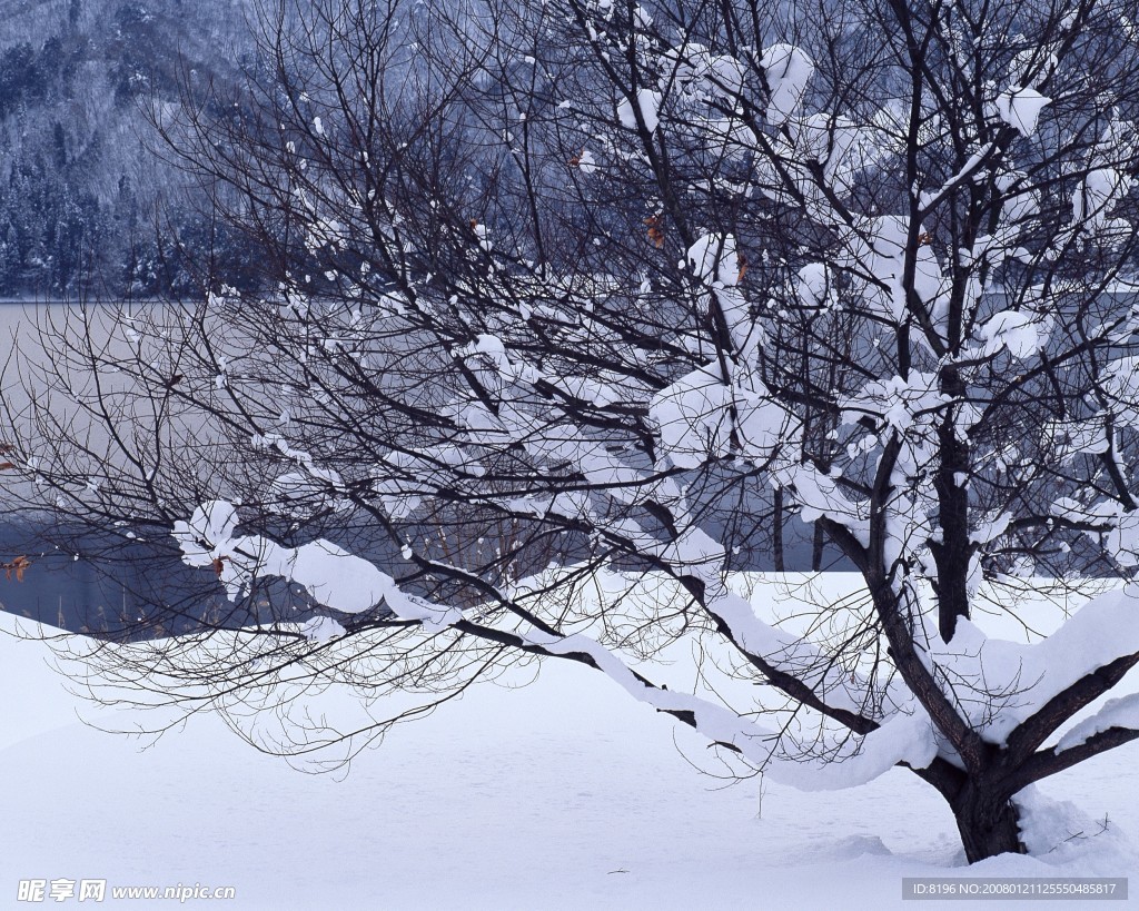 冬天雪景