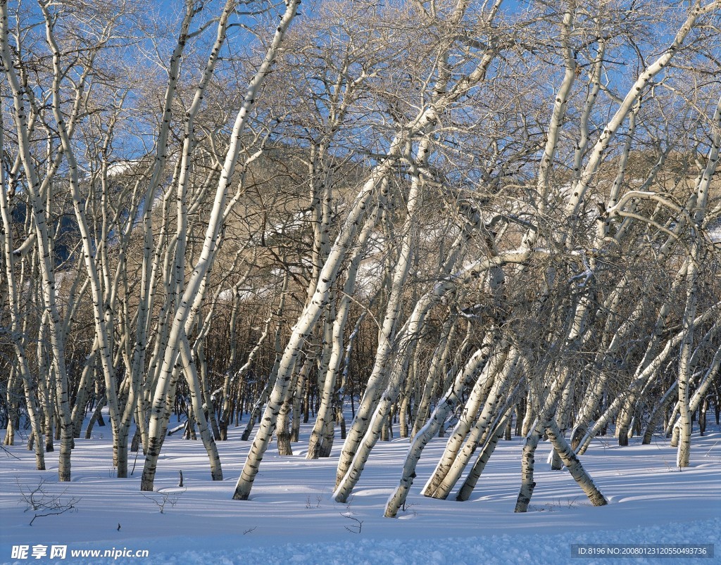 冬天雪景