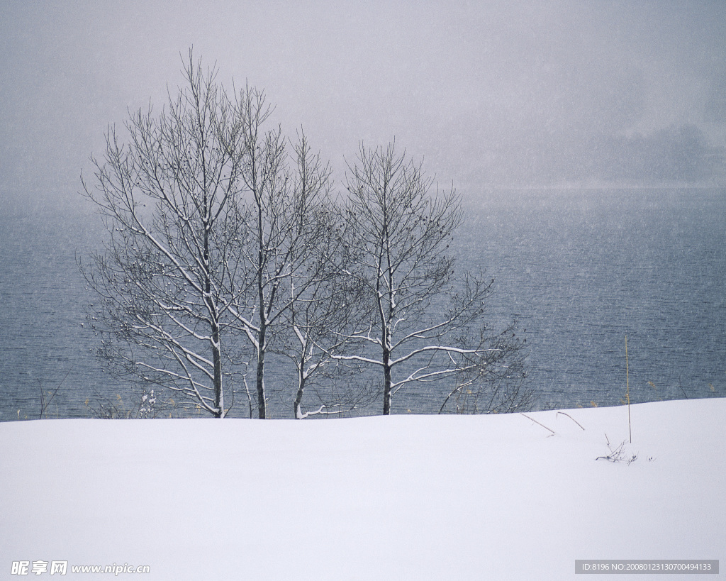 冬天雪景