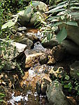 小溪流
