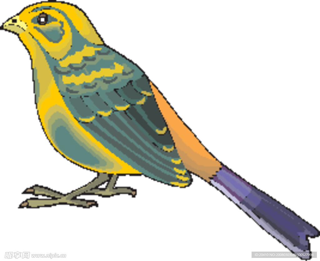 超真實的鳥類圖