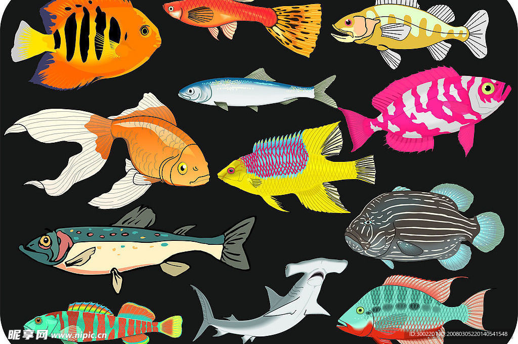 魚