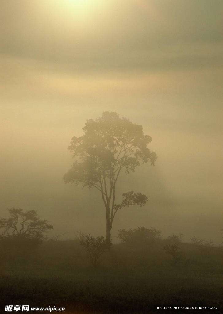 夕陽(yáng)