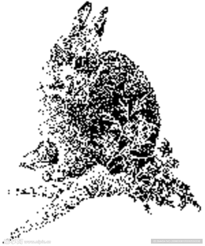 小兔子