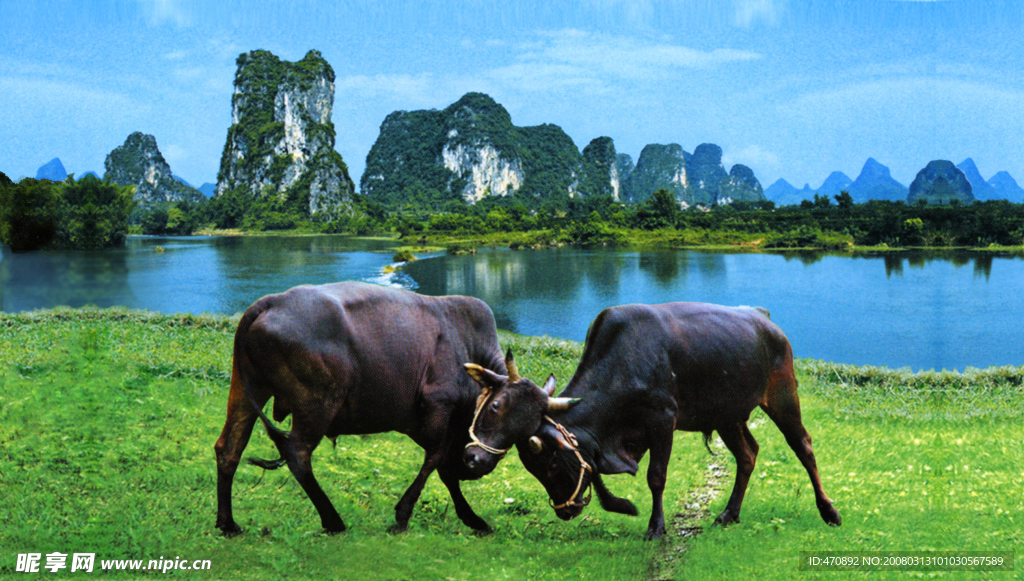 桂林風(fēng)景