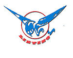 猎鹰队队徽