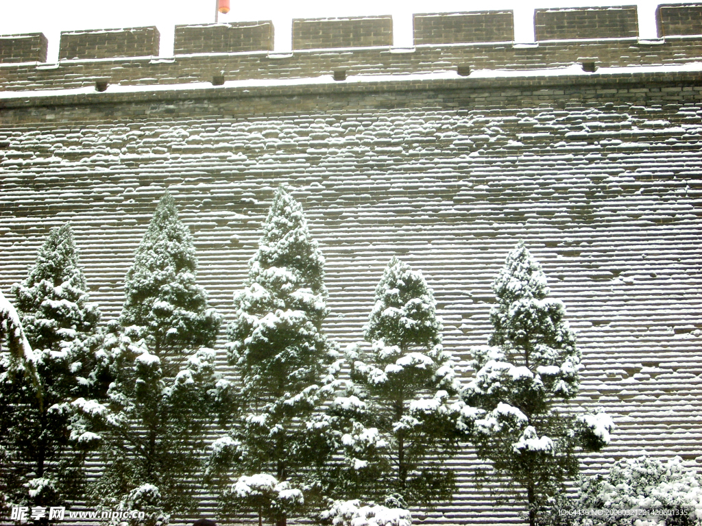 雪景