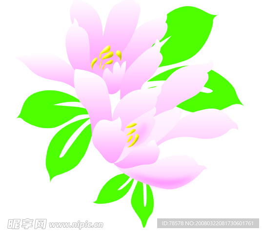 花圖片,花紋,花