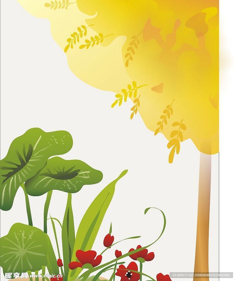 荷花