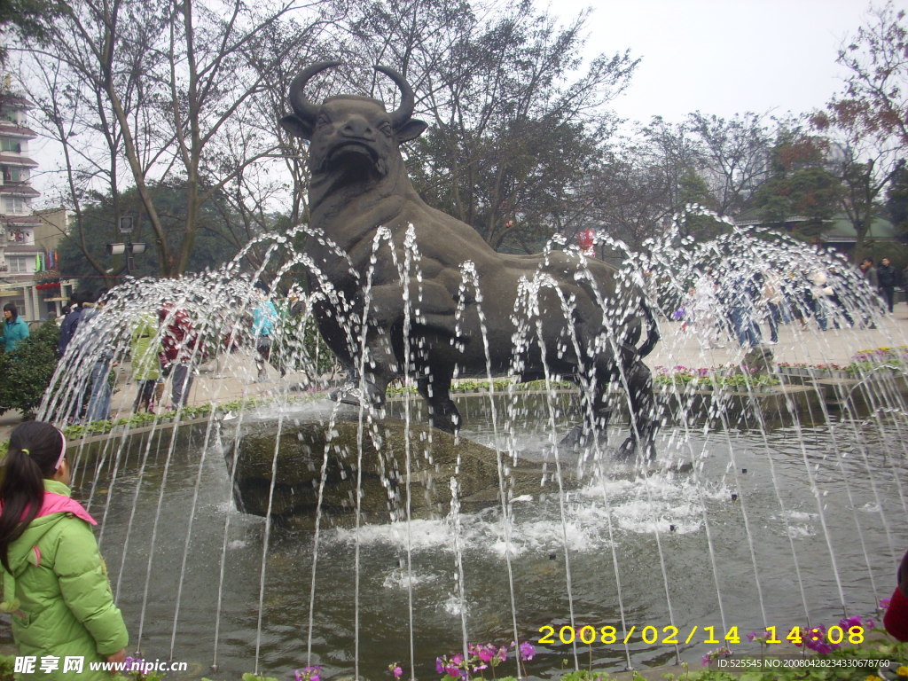 水牛