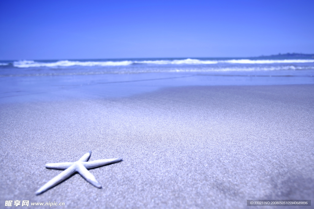 沙灘夏天海星