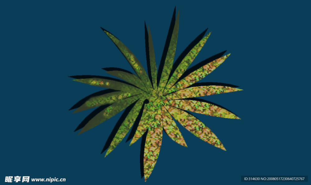 植物
