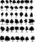 各种树木剪影矢量图