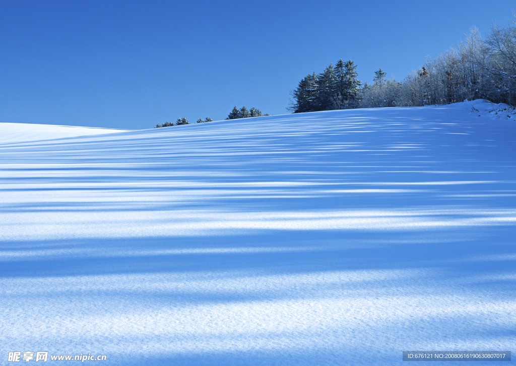 雪地