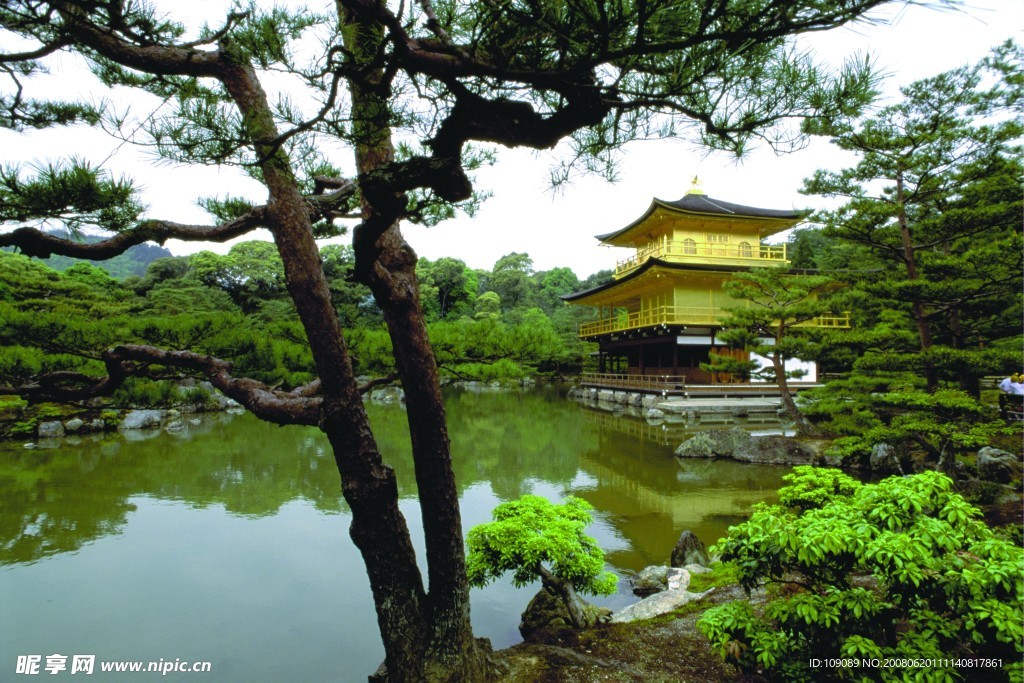 自然 風景